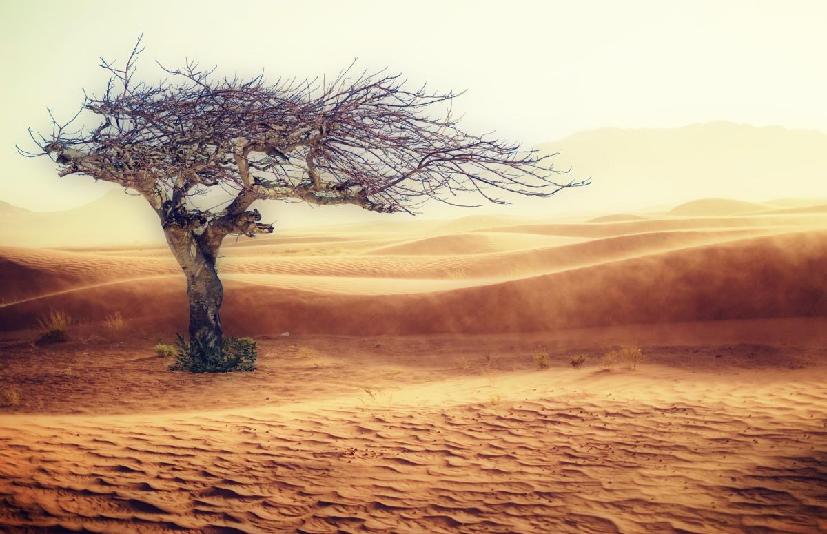 Image of desert to depict climate change