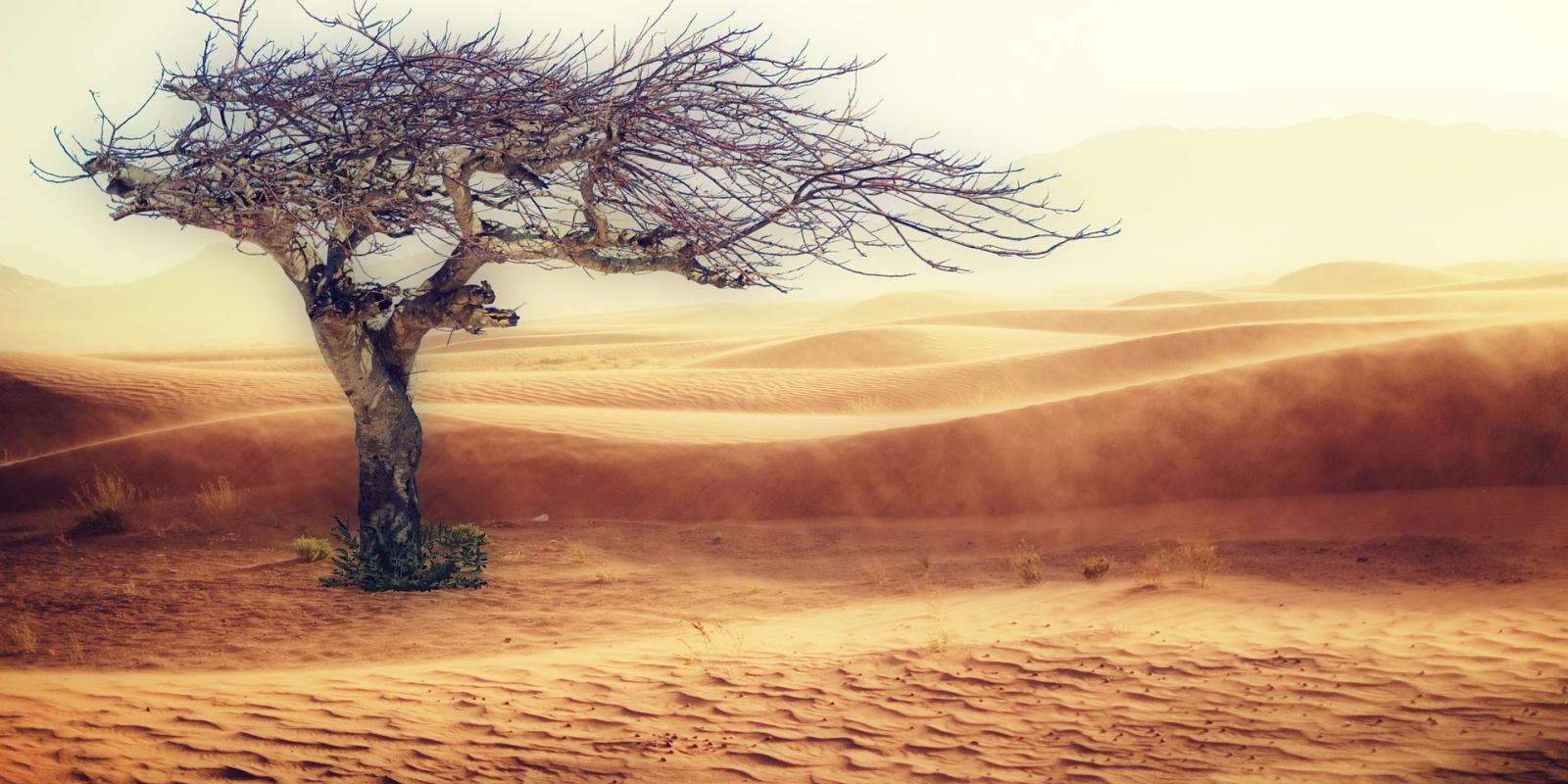 Image of desert to depict climate change